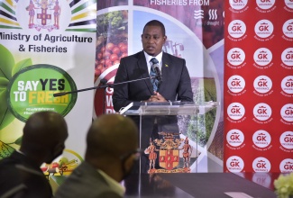 Minister of Agriculture and Fisheries, Hon. Floyd Green.

