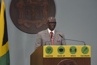 Minister of Local Government and Rural Development, Hon. Desmond McKenzie, addressing a digital press conference on August 9. 

