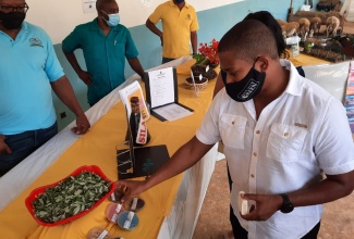 Minister of Agriculture and Fisheries, Hon. Floyd Green, looks at soap and other items made from goat milk and skin following the launch of the $50-million National Small Ruminant Development Programme at Hounslow Research Station in St. Elizabeth on Tuesday, August 3.