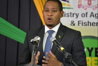 Minister of Agriculture and Fisheries, Hon. Floyd Green, addressing a virtual press conference on Wednesday (August 25).   Photo: Yhomo Hutchinson.

