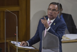 Minister of Science, Energy and Technology, Hon. Daryl Vaz, addressing the House of Representatives on September 28.

