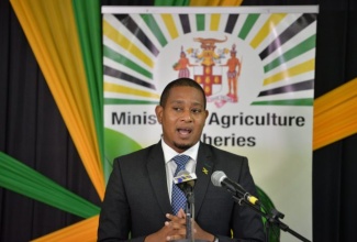 Minister of Agriculture and Fisheries, Hon. Floyd Green, says the Buy-Back Programme was implemented to ensure farmers have consistent access to reasonable markets, and consumers have access to safe cost-efficient food.  