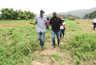 Minister of Agriculture and Fisheries, Hon. Floyd Green (right), converses with Chief Executive Officer, National Irrigation Commission, Joseph Gyles, while viewing crops destroyed by recent flood rains during a tour of farms in Bog Hole, Clarendon, on Wednesday (September 1).

