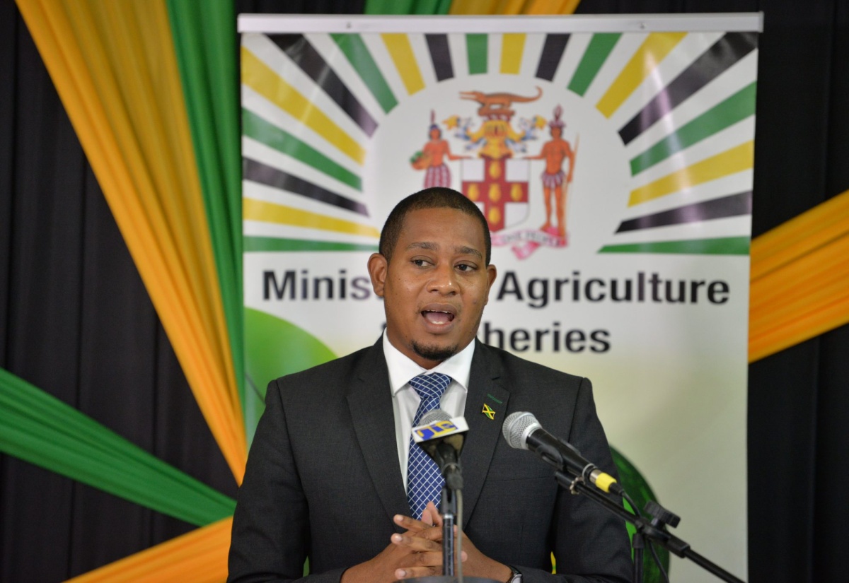 Minister of Agriculture and Fisheries, Hon. Floyd Green.

