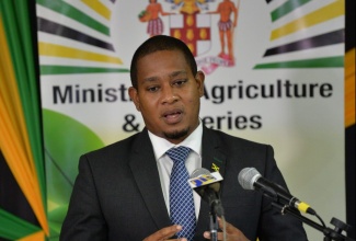 Minister of Agriculture and Fisheries, Hon. Floyd Green.

