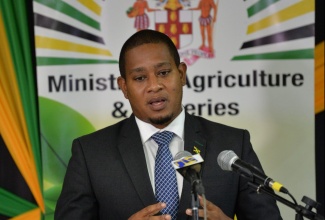 Minister of Agriculture and Fisheries, Hon. Floyd Green, addressing a recent virtual press conference.

