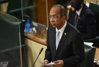Deputy Prime Minister and Minister of National Security, Hon. Dr. Horace Chang, speaking in the House of Representatives on October 13.