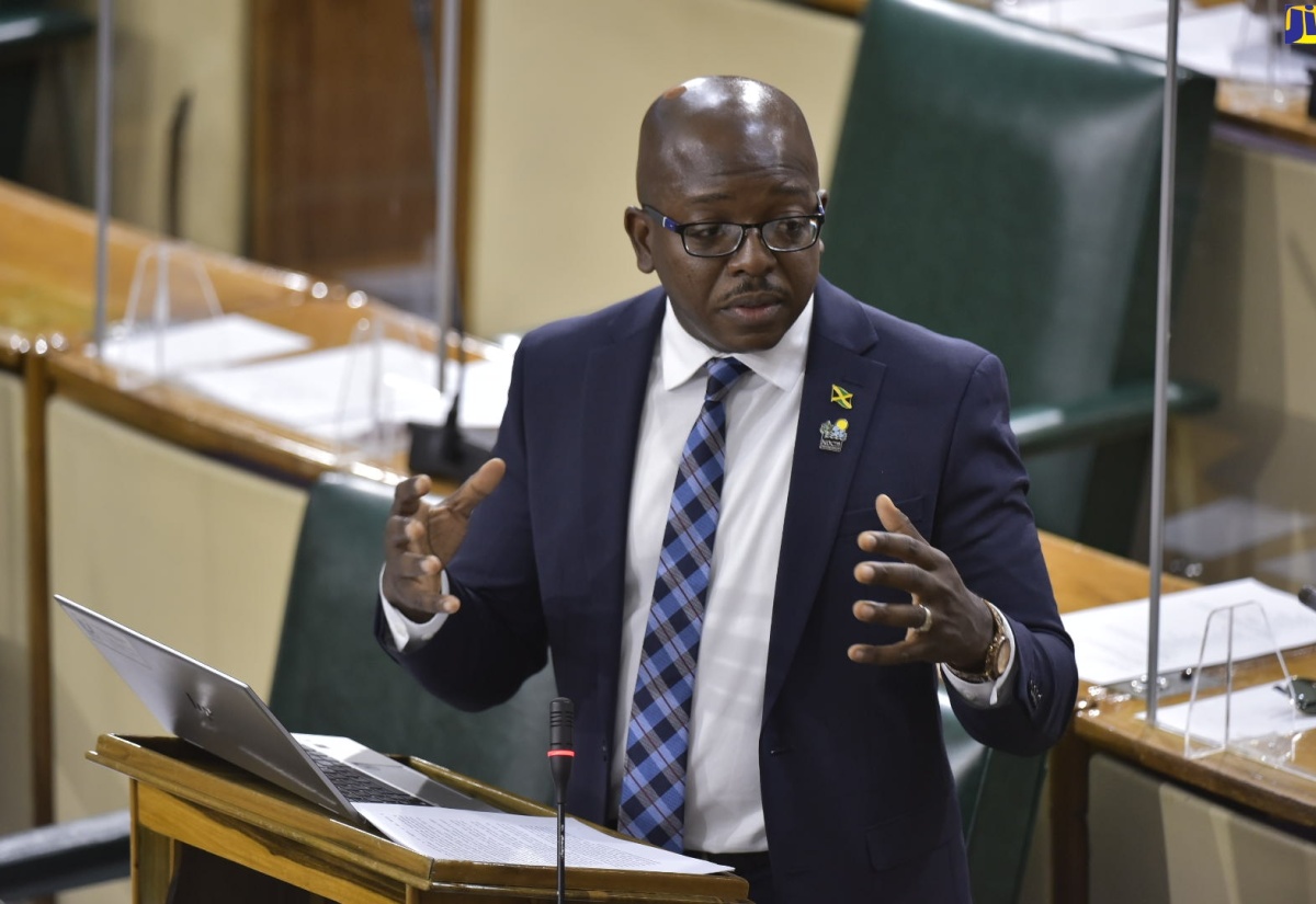 Minister of Housing, Urban Renewal, Environment and Climate Change, Hon. Pearnel Charles Jr.,  speaks in the House of Representatives on October 27.