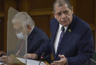 Minister of Industry, Investment and Commerce,  Hon. Audley Shaw, addressing a recent sitting of the House of Representatives.