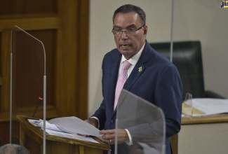 Minister of Science, Energy and Technology, Hon. Daryl Vaz, addressing the House of Representatives on September 28.