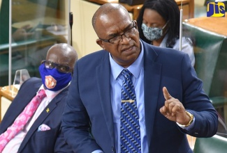 Member of Parliament for St. Elizabeth North Eastern, Delroy Slowley, makes his contribution to the 2021/22 State of the Constituency Debate in the House of Representatives on Wednesday (October 20).