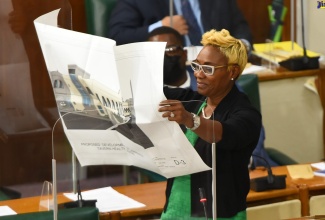 Minister of State in the Ministry of Health and Wellness and Member of Parliament for St. Andrew West Rural, Hon. Juliet Cuthbert-Flynn, shows a diagram depicting the design for the proposed renovation of the Lawrence Tavern Health Centre in the constituency. She was making during her contribution in the State of the Constituency Debate in the House of Representatives on October 5).  