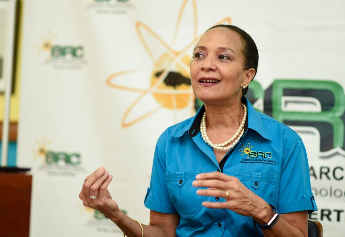 Acting Information Services Manager at the Scientific Research Council (SRC), Marcia Henry, speaks at a  recent JIS ‘Think Tank’.

