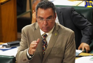 Minister of Science, Energy and Technology, Hon. Daryl Vaz. (JIS FIle Photo)

