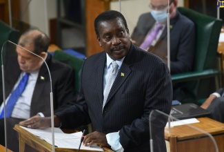 Minister of Transport and Mining, Hon. Robert Montague, pilots the Road Traffic (Amendment, Validation and Indemnity) Bill, 2021, during a special sitting of the House of Representatives on Friday (November 5). The legislation allows for the updating of fixed penalties for offences under the Road Traffic Act.