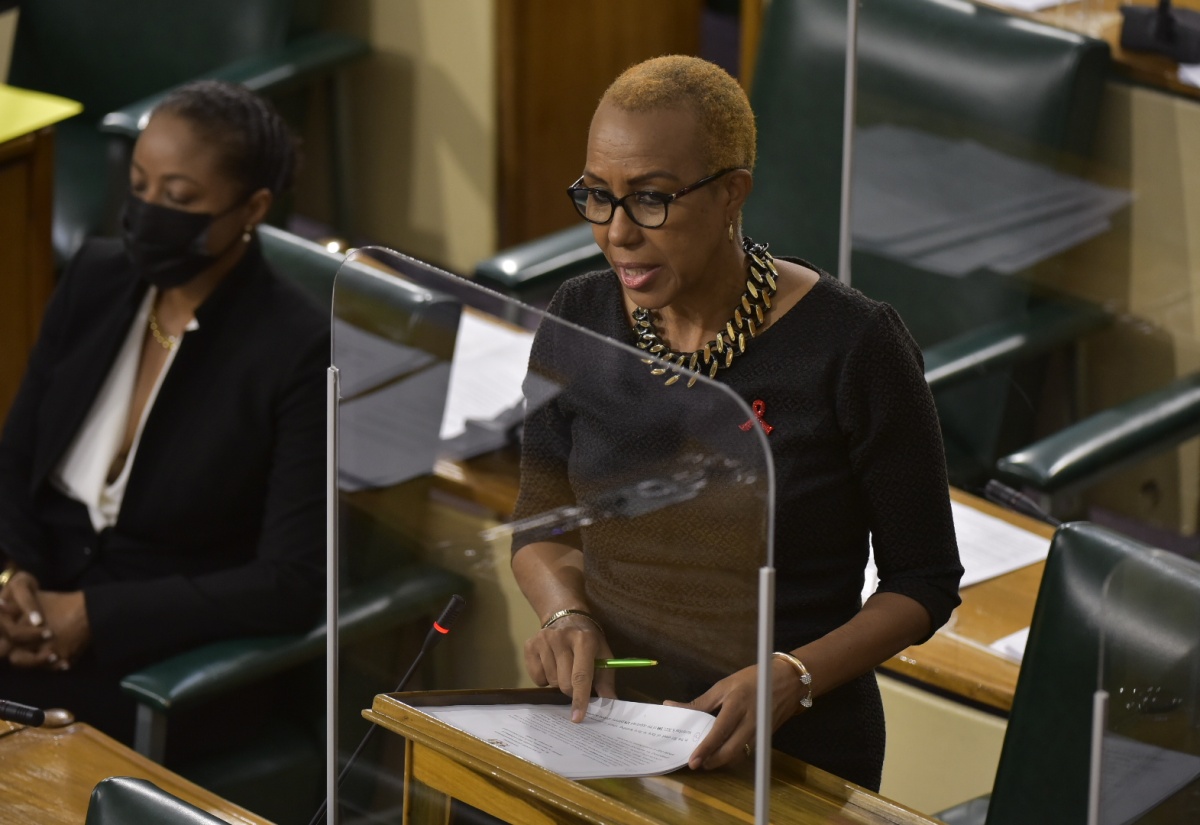 Minister of Education, Youth and Information, Hon. Fayval Williams, speaking during the sitting of the House of Representatives on November 30.

 