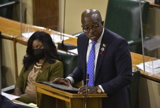 Minister of Housing, Urban Renewal, Environment and Climate Change, Hon. Pearnel Charles Jr., speaks  in the House of Representatives on November 30.

