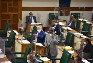 Minister of Local Government and Rural Development, Hon. Desmond McKenzie (standing), speaks in the House of Representatives on December 14.