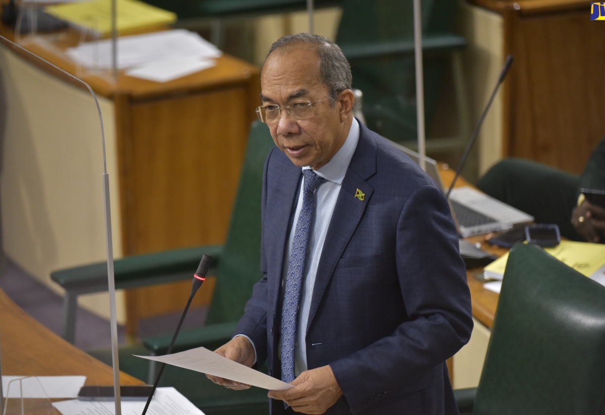 Minister of National Security, Hon. Dr. Horace Chang, speaks in the House of Representatives on Tuesday (January 11).