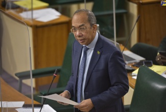 Minister of National Security, Hon. Dr. Horace Chang, speaks in the House of Representatives on Tuesday (January 11).