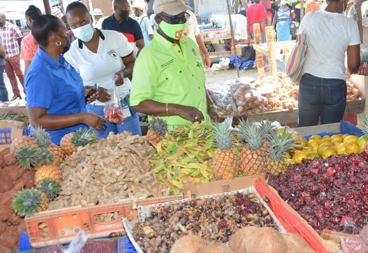 Beautification Project For Lucea, Hanover