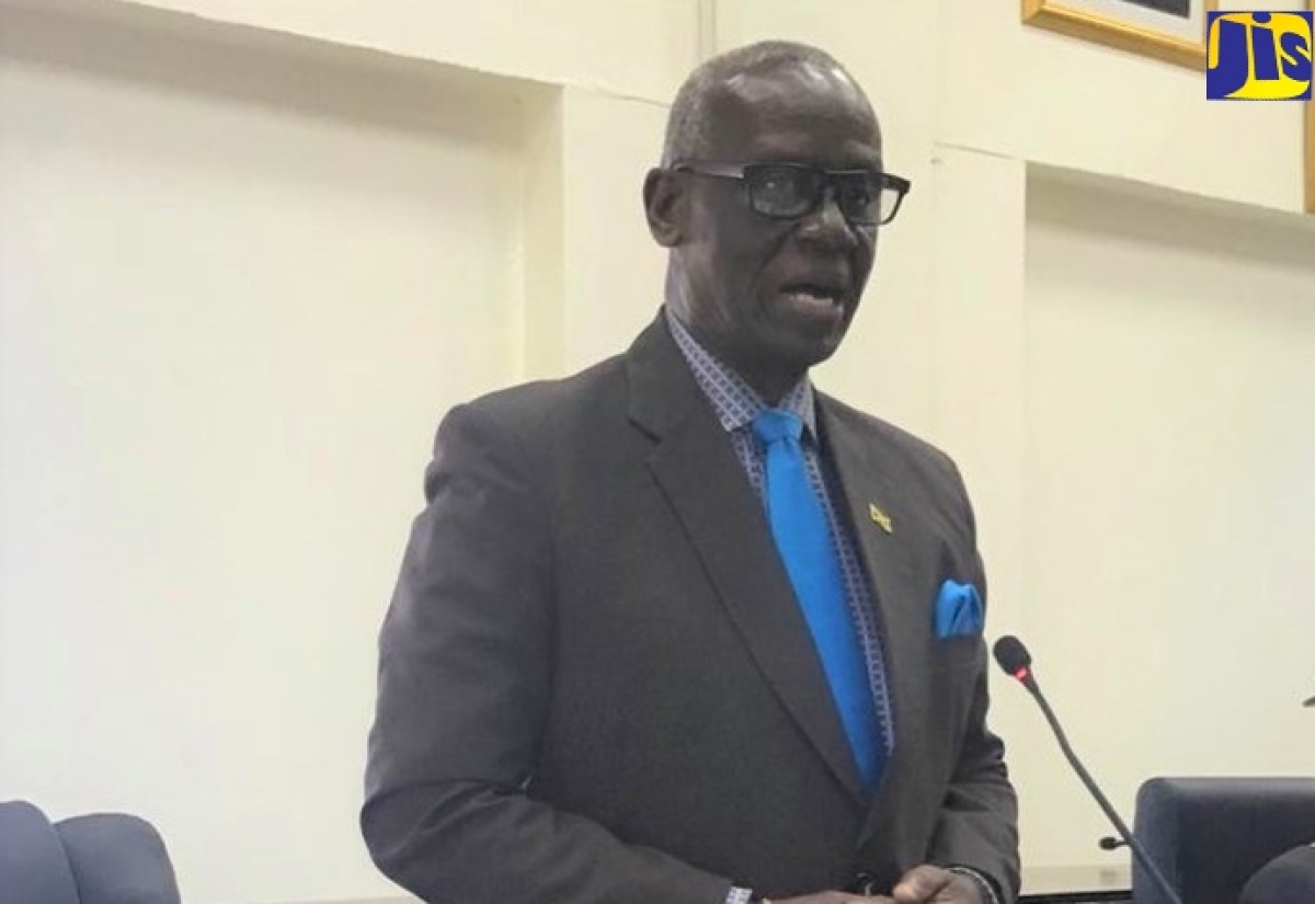 Minister of Local Government and Rural Development, Hon. Desmond McKenzie, addresses a recent meeting of the Westmoreland Municipal Corporation.