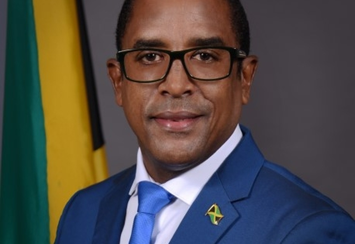 Minister of State in the Ministry of Industry, Investment and Commerce, Dr. the Hon. Norman Dunn.