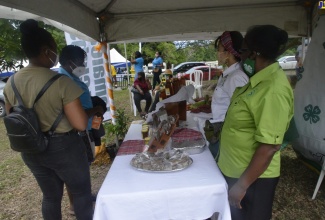 St. Ann 4H Club Assistant Secretary Sonia Tucker (right) and Japan International Corporation Agency (JICA) volunteer Natsumi Nagarmura (second from right), gives Secretary at the Rural Agricultural Development Authority (RADA) St. Ann branch, Marie Richards and her daughter Julisan Richards, an over view of products at their booth. Occasion was the Ministry of Agriculture and Fisheries’ St. Ann Agri-Tourism Business Symposium which was held at the Seville Heritage Park in the parish on Friday (February 25).  