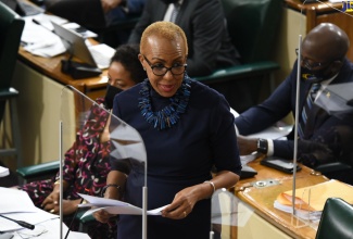 Minister of Education and Youth, Hon. Fayval Williams, speaking in the House of Representatives on February 1.