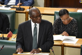 Minister without Portfolio in the Ministry of Economic Growth and Job Creation, Hon. Everald Warmington, makes his contribution to the 2022/23 Sectoral Debate in the House of Representatives on May 11.

