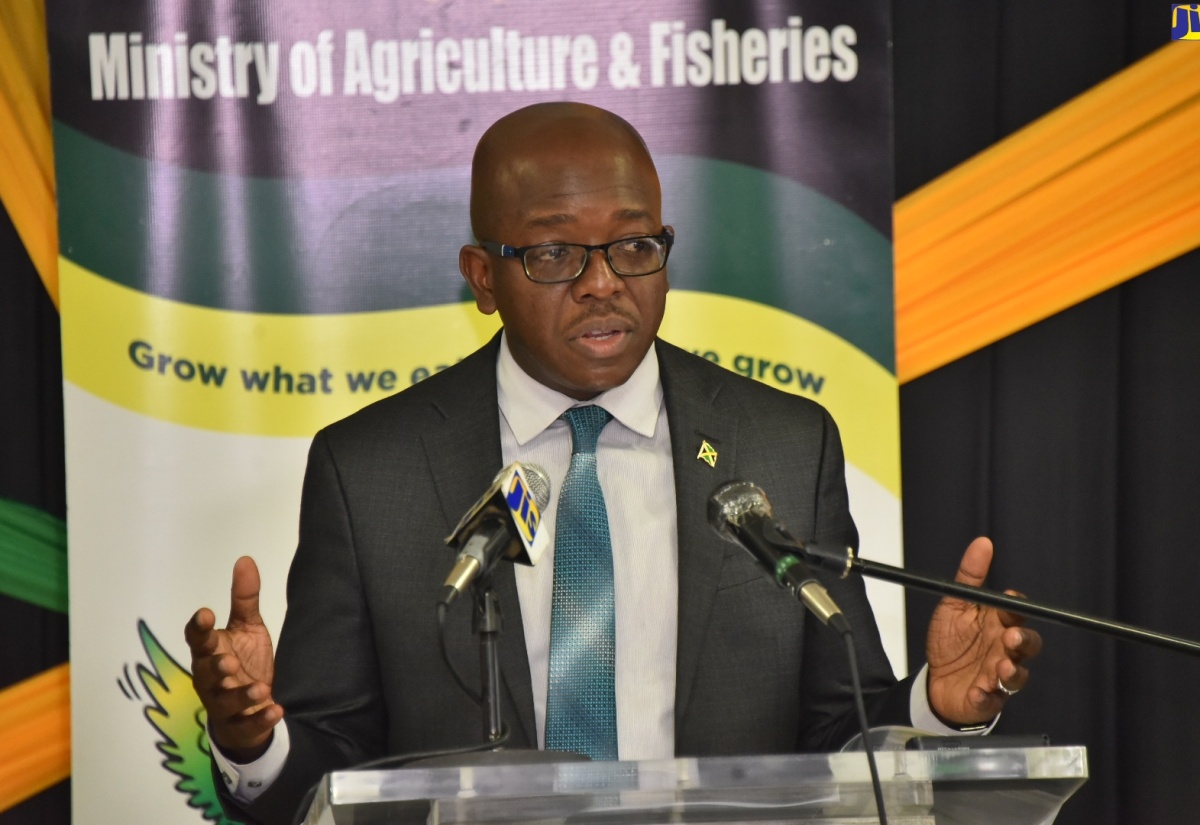 Agriculture and Fisheries Minister, Hon. Pearnel Charles Jr., addresses the Ministry’s post Sectoral Debate media briefing, on May 18 at its Old Hope Road offices in Kingston and online.

