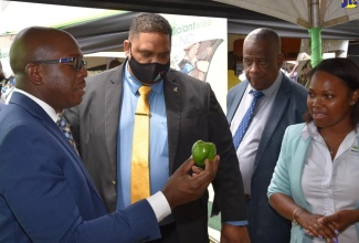 Agriculture and Fisheries Minister, Hon. Pearnel Charles Jr. (left) inspects a green pepper at an event held recently at the Ministry’s Hope Gardens Complex, to observe the International Day of Plant Health under the theme ‘Protecting plants, protecting life’. Looking on (from second left) are Minister of Planning, Agriculture, Housing and Infrastructure for the Cayman Islands, Hon. Johany Ebanks, Minister of State in the Ministry of Agriculture and Fisheries. Hon. Frank Witter, and Marketing Student, Knockalva Polytechnic College, Kay Ann Chin.