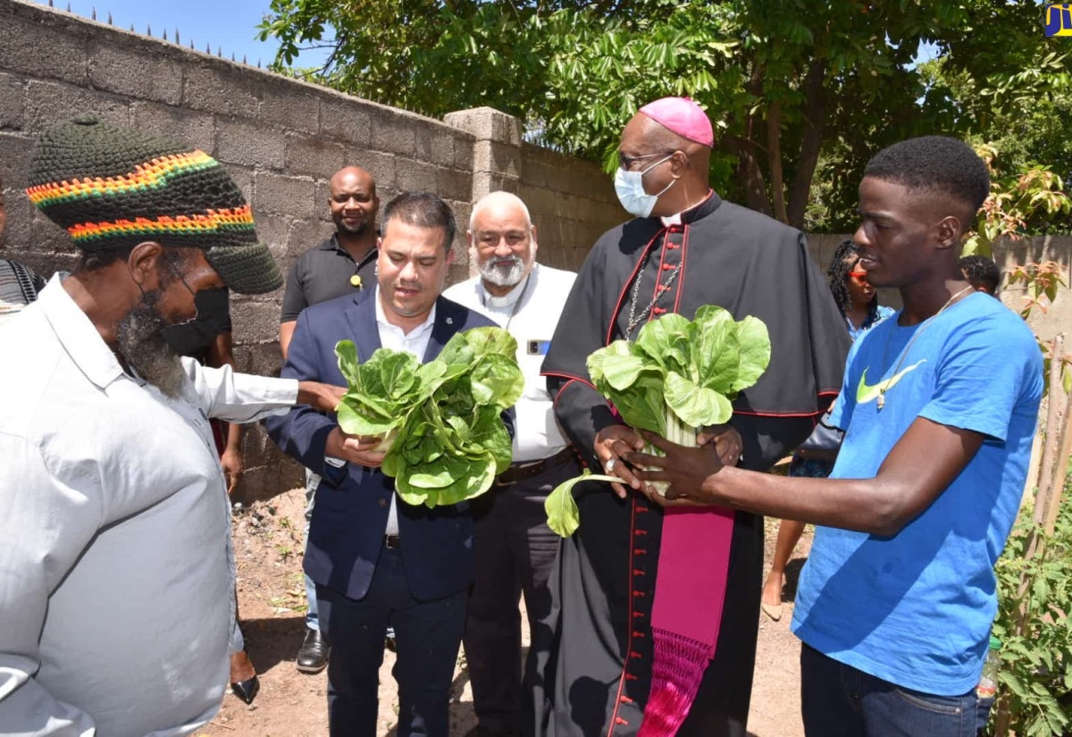 PHOTOS: Senator Matthew Samuda Tours Hannah Town Eco-village