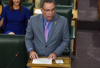 Minister of Minister of Science, Energy and Technology, Hon. Daryl Vaz, speaking in the House of Representatives on May 10.

