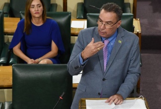 Minister of Science, Energy and Technology, Hon. Daryl Vaz, speaking in the House of Representatives on May 10. In the background is the Minister’s wife and Member of Parliament for Portland Eastern, Ann-Marie Vaz.

