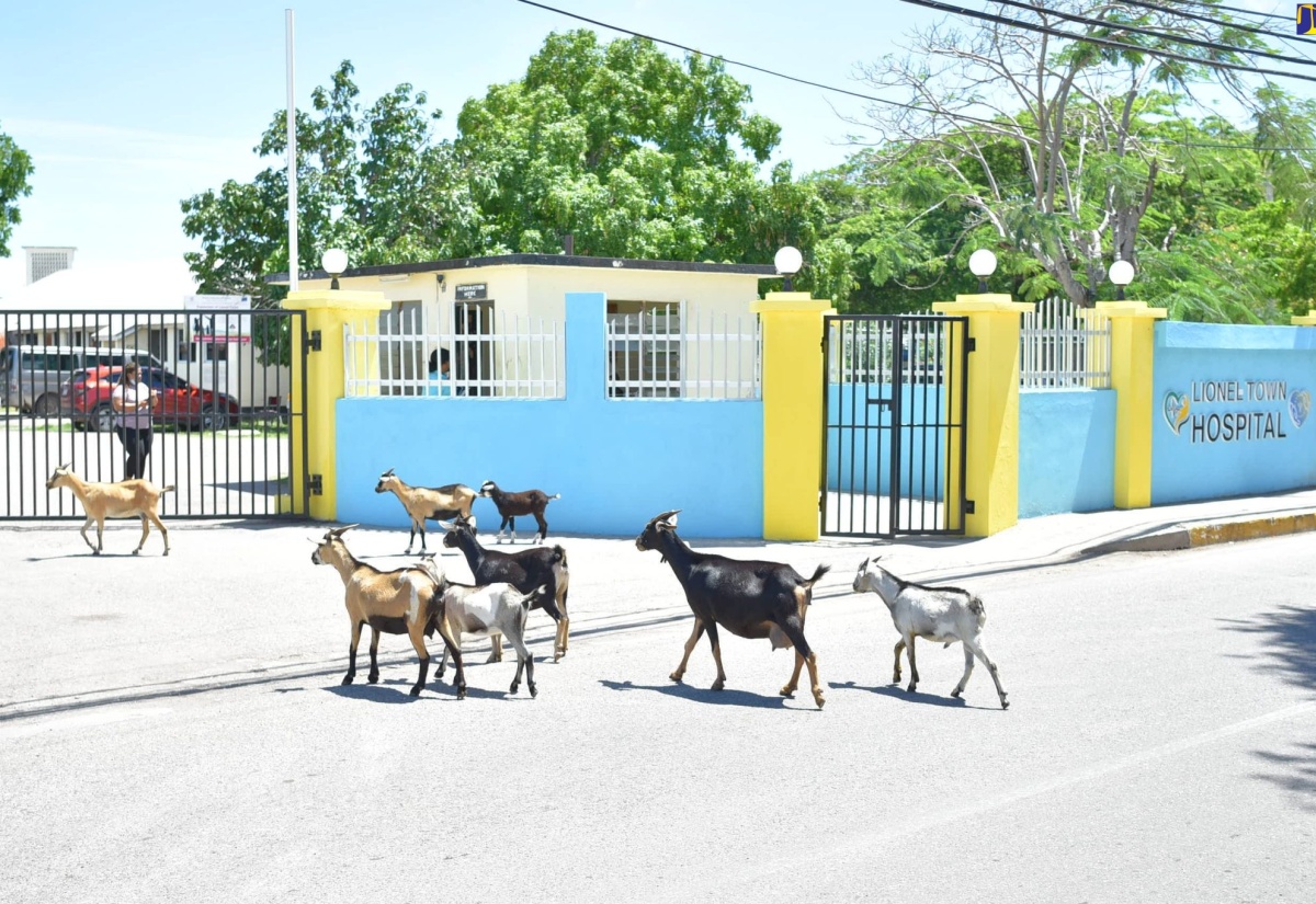 Lionel Town Hospital Gets $40-Million Fence