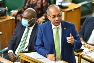 Minister of National Security and Deputy Prime Minister, Hon. Dr. Horace Chang, speaks in the House of Representatives.  At left is State Minister in the Ministry, Hon. Zavia Mayne.