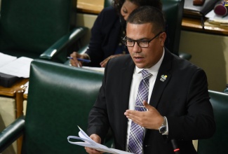 Minister without Portfolio in the Ministry of Economic Growth and Job Creation, Senator the Hon. Matthew Samuda.