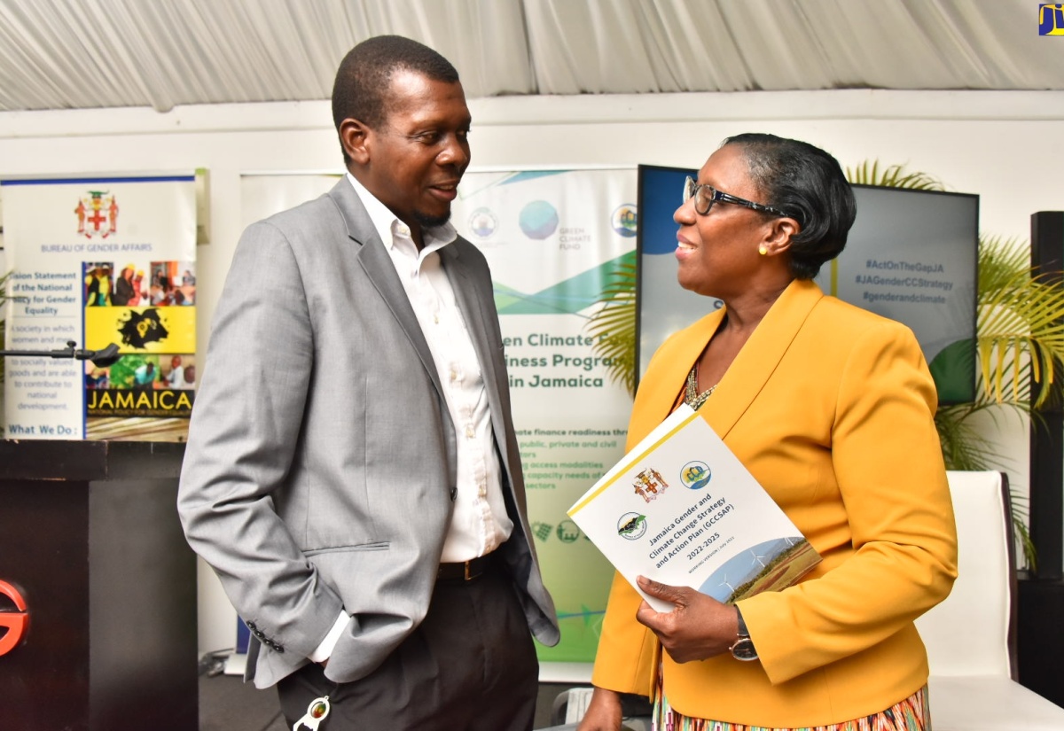 Jamaica Develops Gender and Climate Change Strategy and Action Plan ...