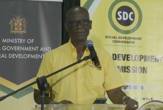 Minister of Local Government and Rural Development, Hon. Desmond McKenzie.