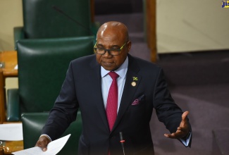 Minister of Tourism, Hon. Edmund Bartlett, provides an update on the recent cruise industry recruitment exercise, in the House of Representatives, on July 26.
