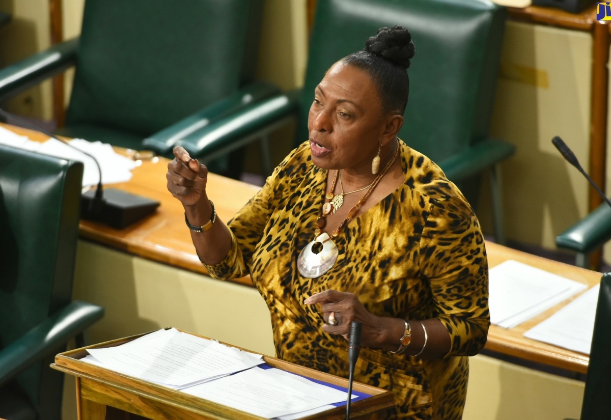 Minister of Culture, Gender, Entertainment and Sport, Hon. Olivia Grange, addresses the House of Representatives on July 26.