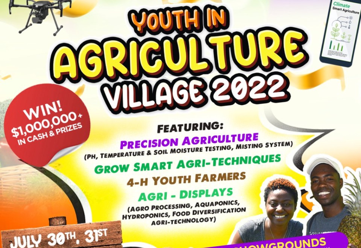 Youth in Agriculture Village Flyer