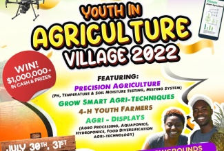 Youth in Agriculture Village Flyer