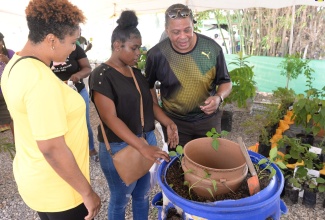 Angelique Chen of St Mary (centre) shows off her vertical drum planter to patron, Tamica Afflick (left) and Dean of the Consular Corps of Jamaica, Robert Scott (right) at the Denbigh Agricultural, Industrial and Food Show in Clarendon on Saturday (July 30).