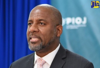  Planning Institute of Jamaica (PIOJ) Director-General, Dr. Wayne Henry.