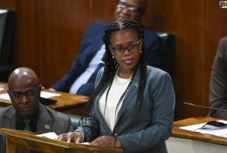 Member of Parliament for Hanover Western, Tamika Davis, makes her contribution to the 2022/23 State of the Constituency Debate in the House of Representatives on Tuesday (September 20).
