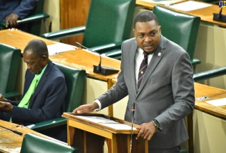 Minister without Portfolio in the Office of the Prime Minister (OPM) with Responsibility for Information, Hon. Robert Morgan, speaks in the House of Representatives on Tuesday (September 13).