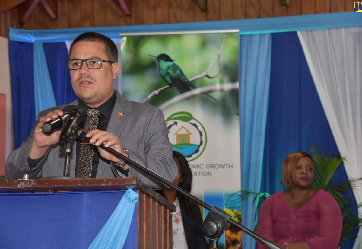 Minister without Portfolio in the Ministry of Economic Growth and Job Creation, Senator the Hon. Matthew Samuda, provides update on the management of plastics and the environment during a Plastics Forum, held virtually on August 30. Seated is Head of the Technical Regulations Unit in the Bureau of Standards Jamaica, Phillipa O’Conner Bennett.