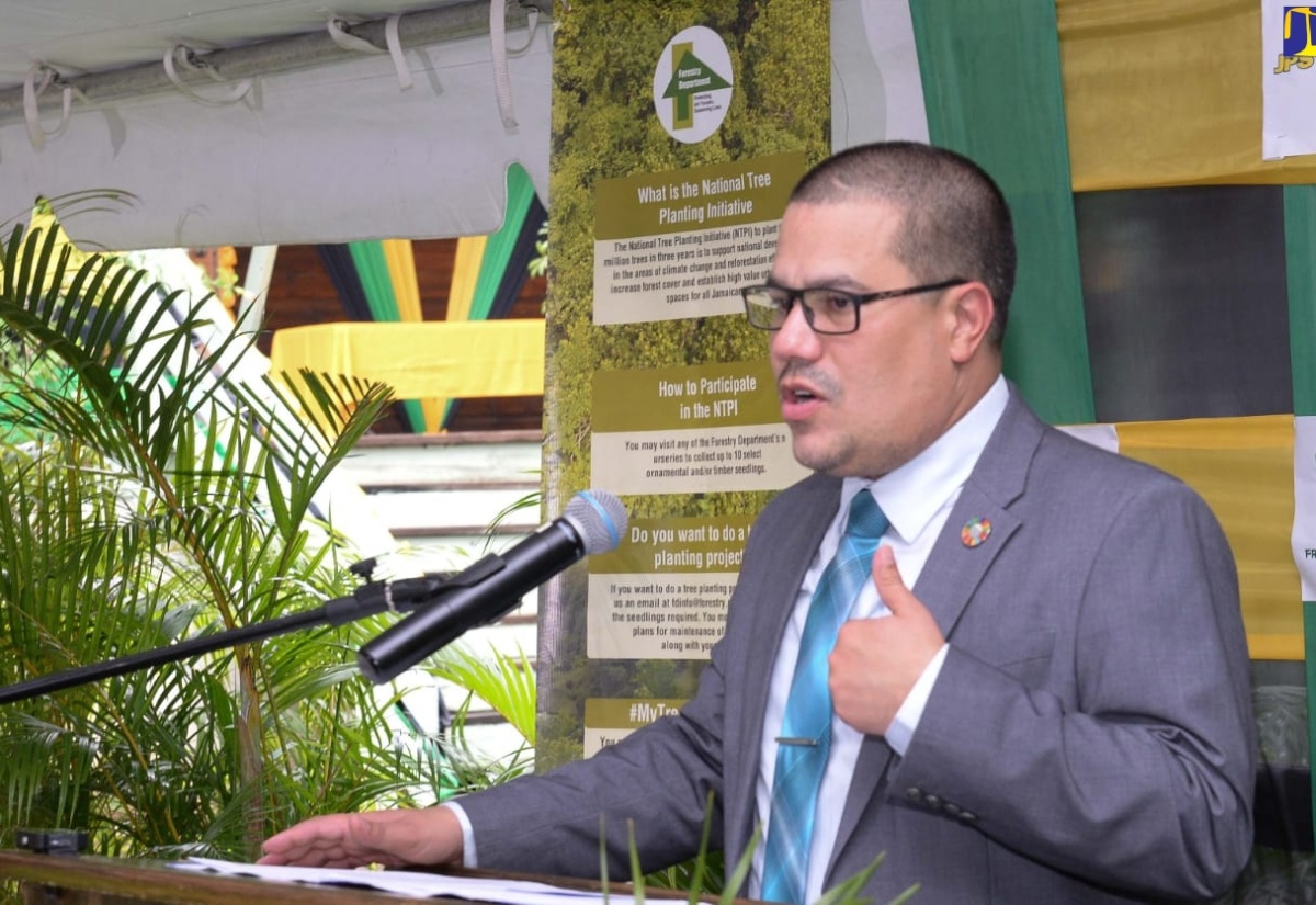 Preservation of Trees Critical to Sustaining Jamaica’s Development – Minister Samuda